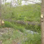 Woodard & Curran North Andover CIPP