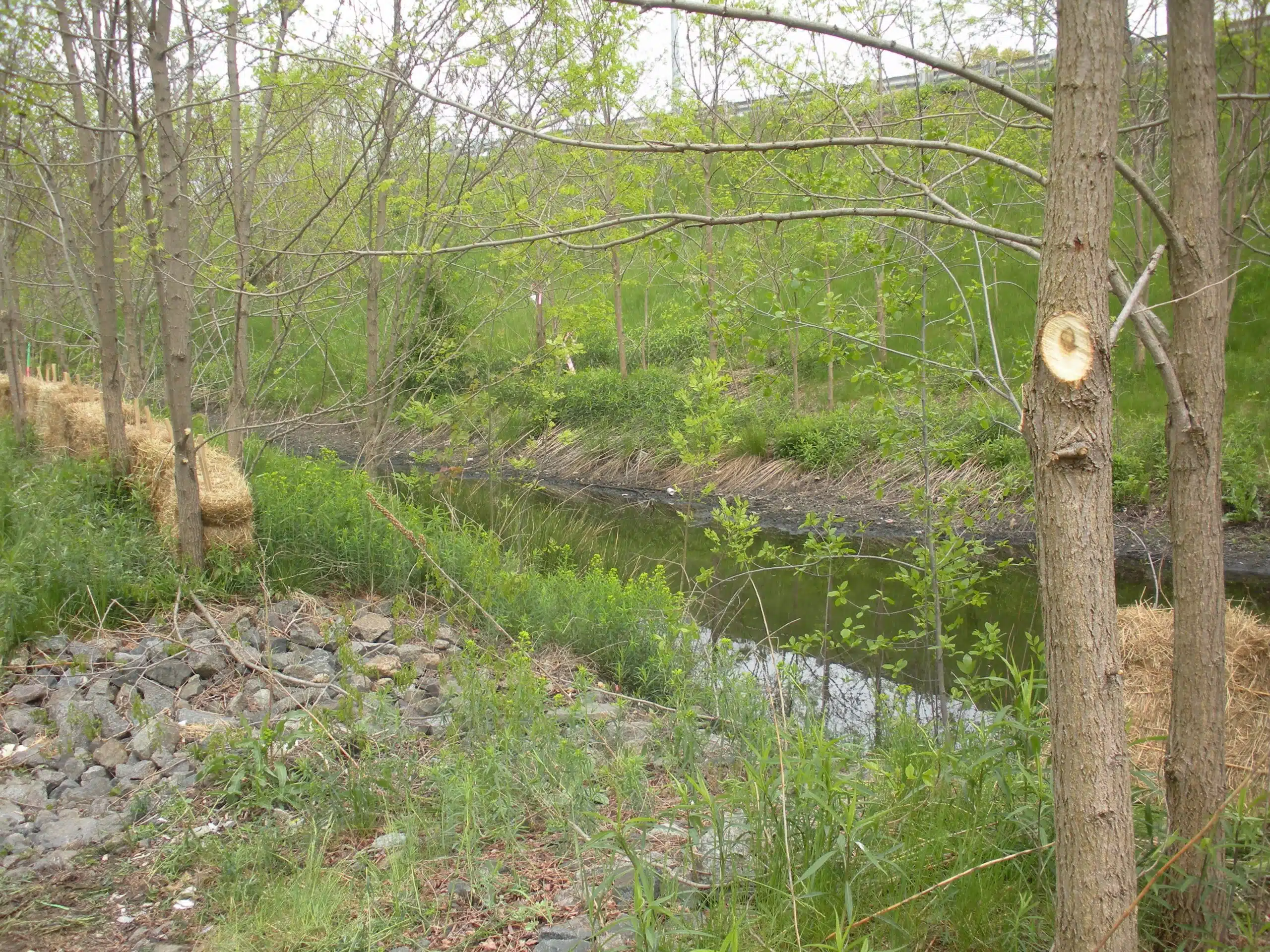 Woodard & Curran North Andover CIPP