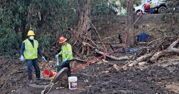 Mudslides and Wildfires: Montecito, California Needed Immediate Aid when Back-to-Back Disasters Impacted their Community National Plant Services