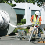 Above ground feeding prof