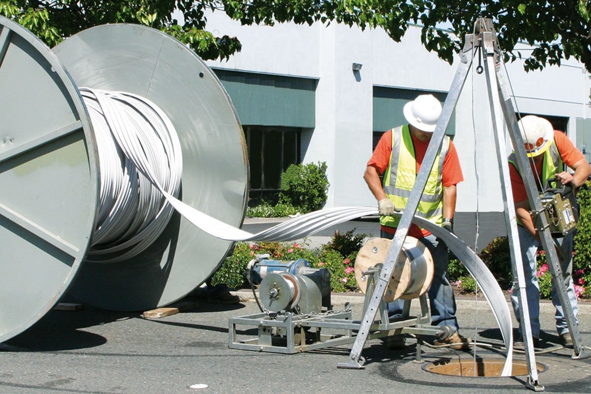 Above ground feeding prof