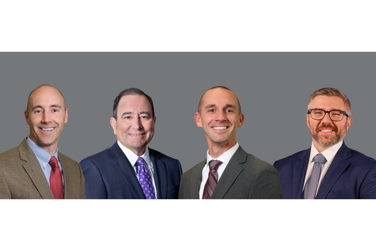 LAN New Sector Leaders