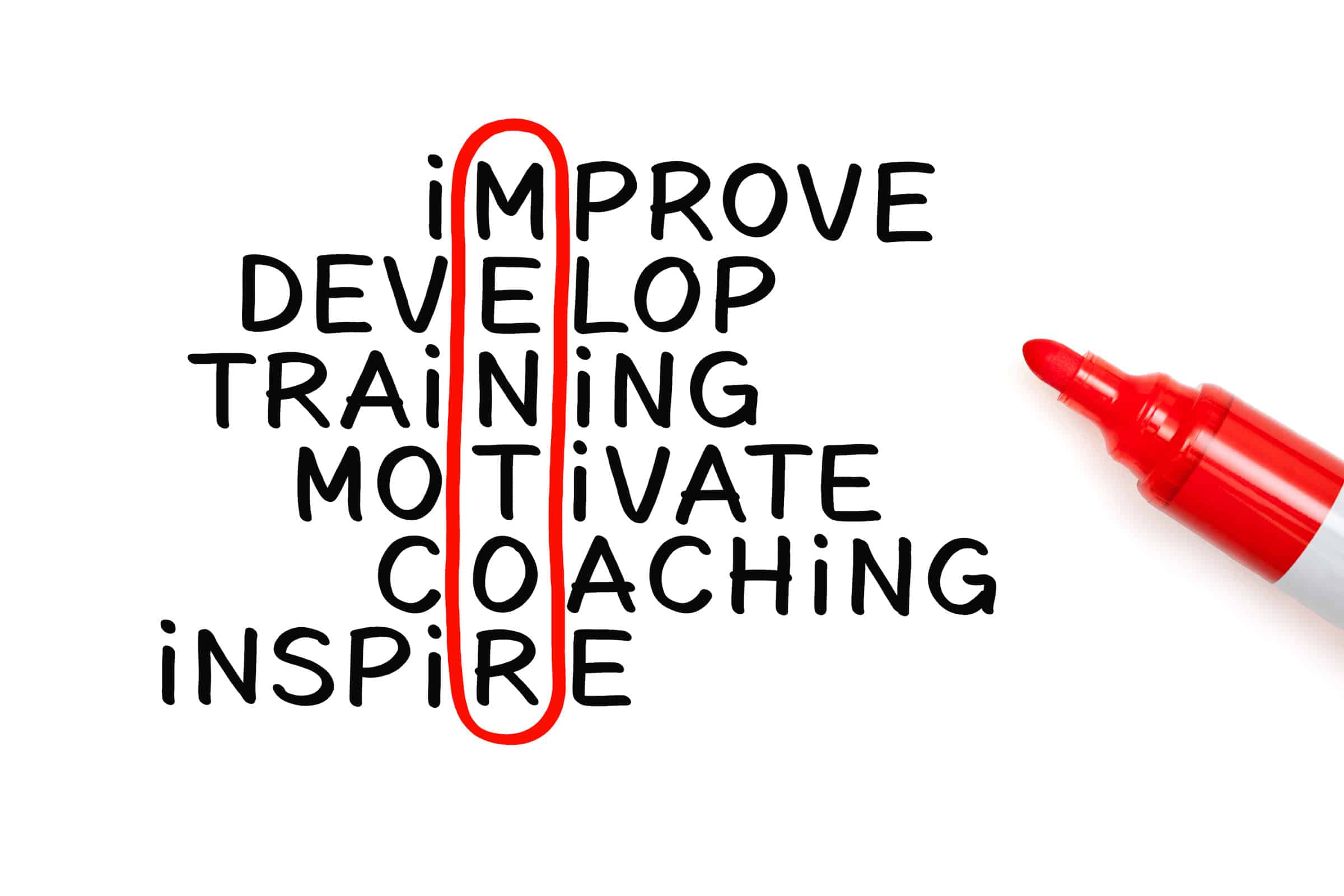 Mentoring Graphic