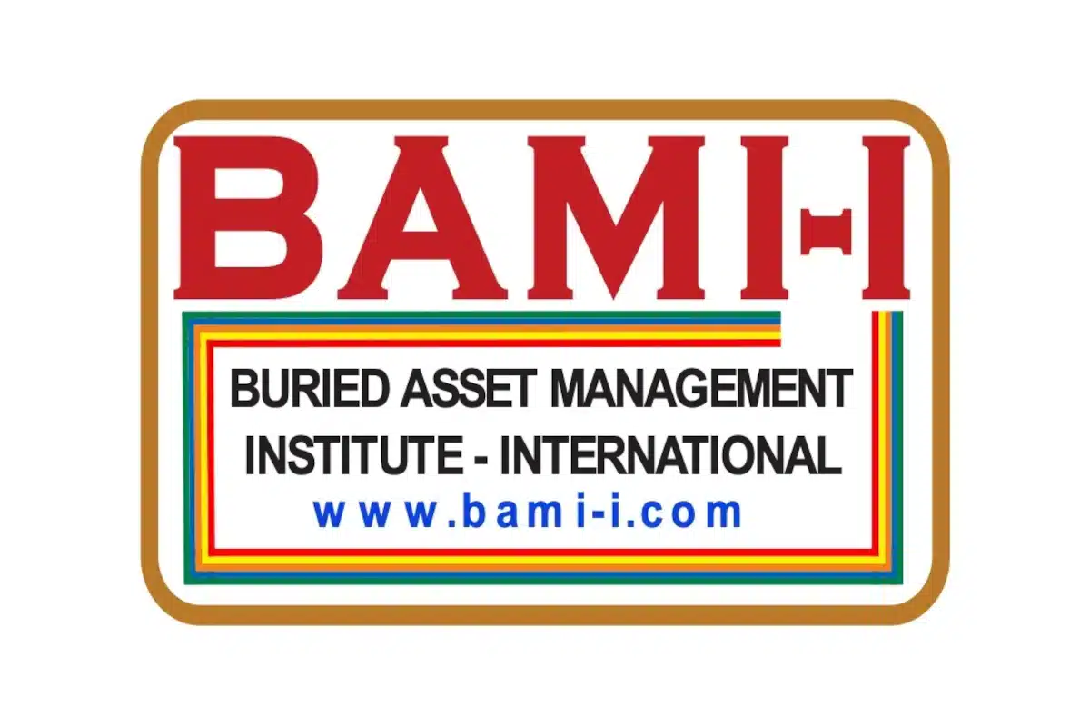BAMI-I Logo