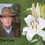 Tim Coss Obituary